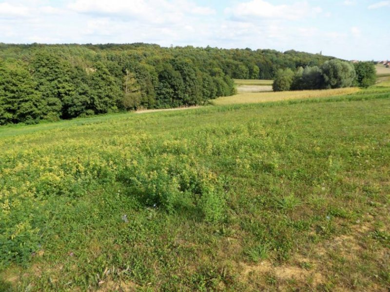 Radenci GRUNDSTÜCK IN DEN WEINBERGEN VON RADENCI, NUR 16 km BIS BAD RADKERSBURG,und 80 KM BIS GRAZ Haus kaufen